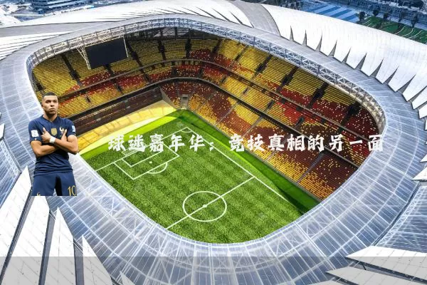 球迷嘉年华：竞技真相的另一面