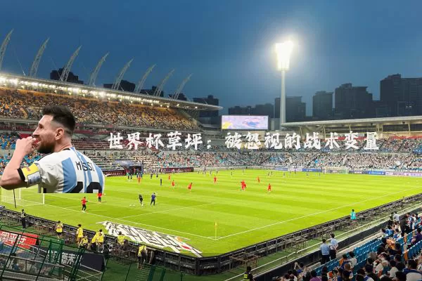 世界杯草坪：被忽视的战术变量