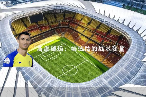高原球场:被低估的战术变量